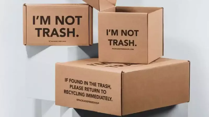 Companies Lean Into Sustainability