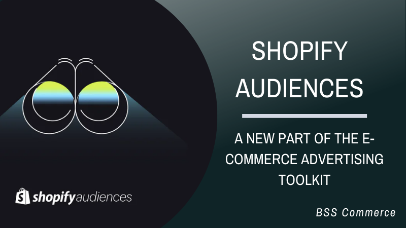 shopify-audiences-app