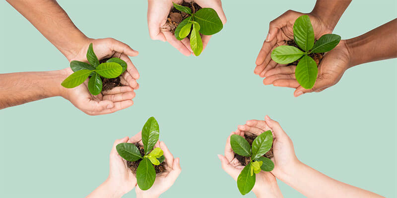 shop pay review - substainability