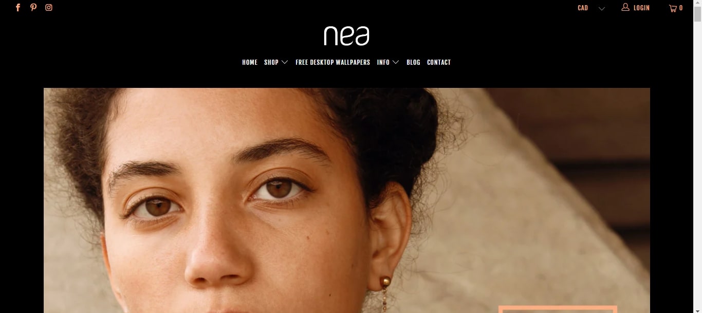 nea examples turbo shopify theme