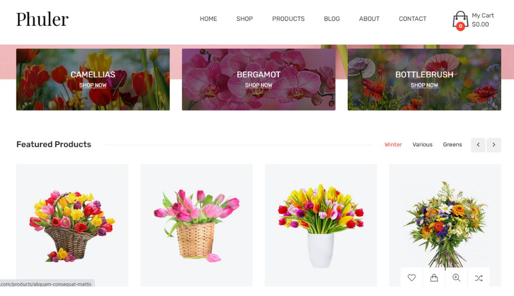 phuler theme of envato shopify themes