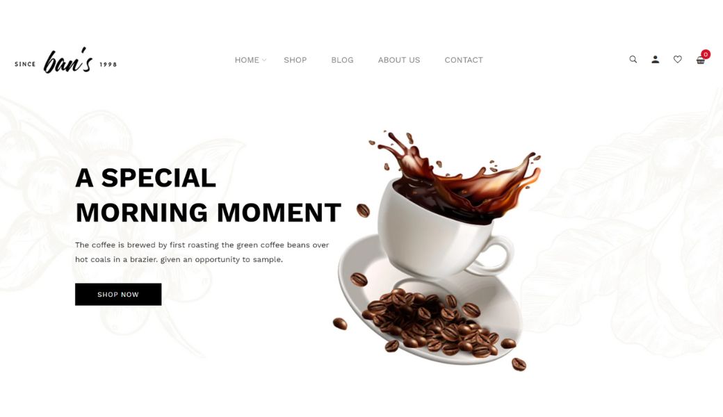 bans theme of envato shopify themes