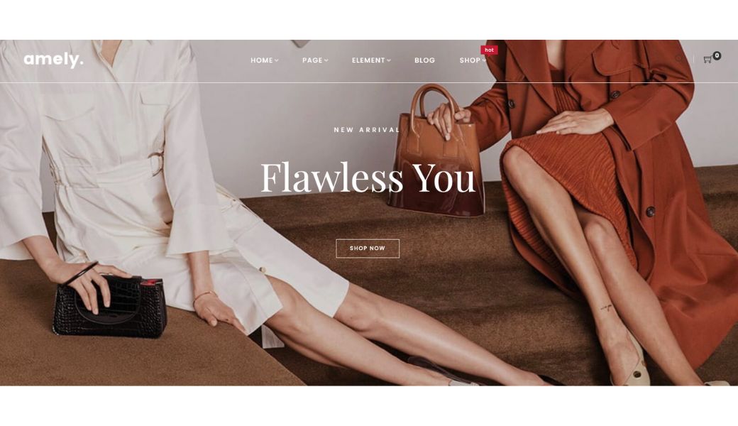 amely theme of envato shopify themes