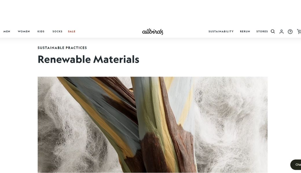 shopify store name allbirds
