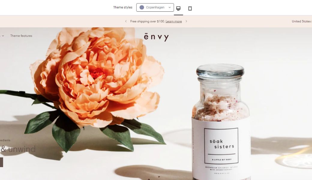 envy-theme-shopify-4