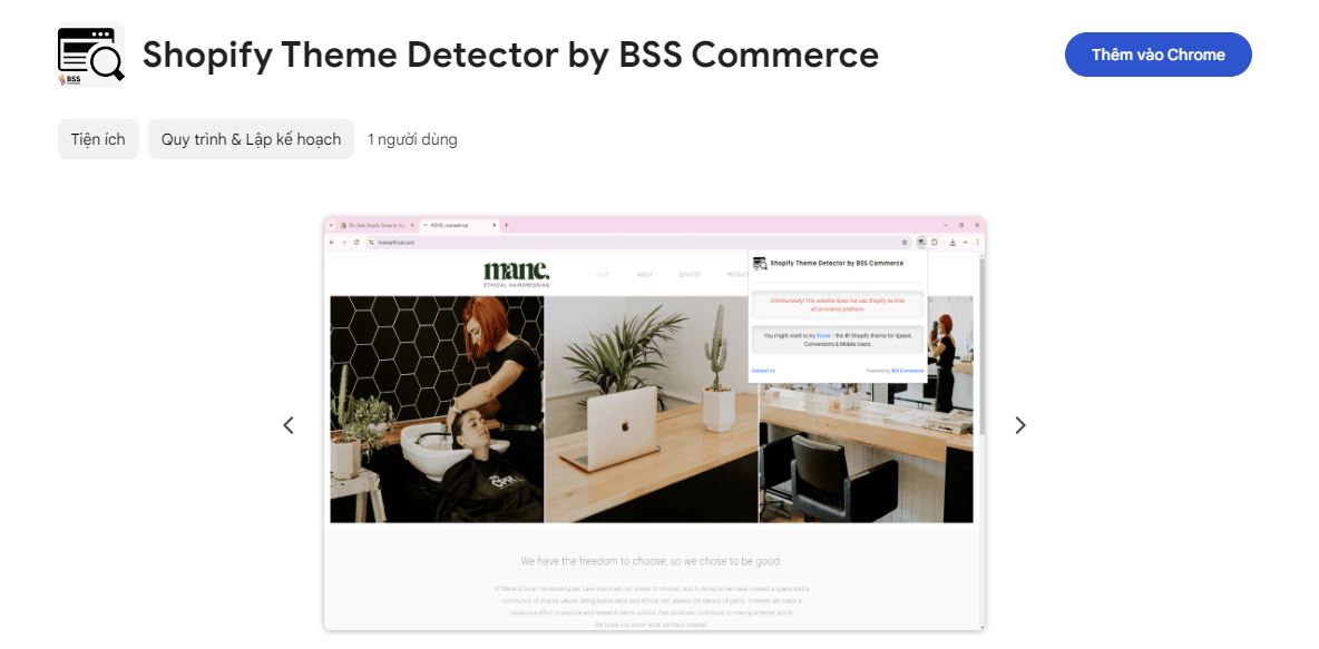 Shopify theme detector