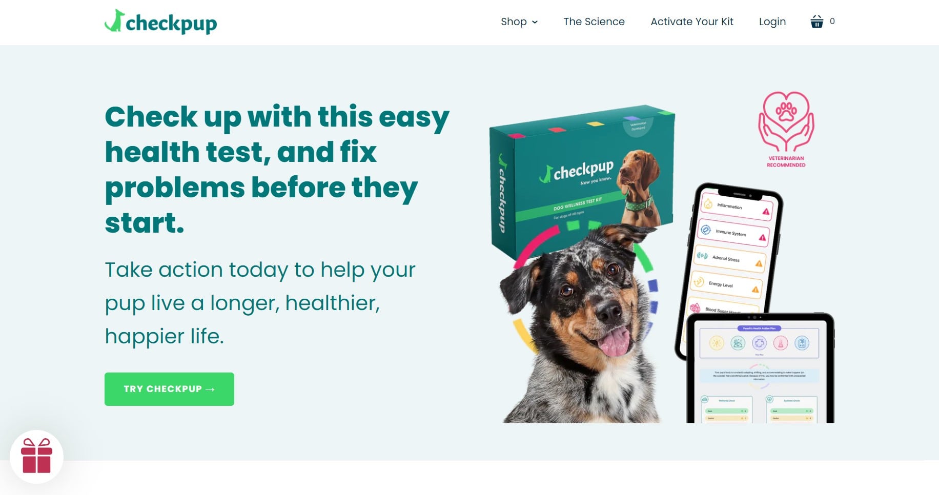 shopify startup theme - checkpup