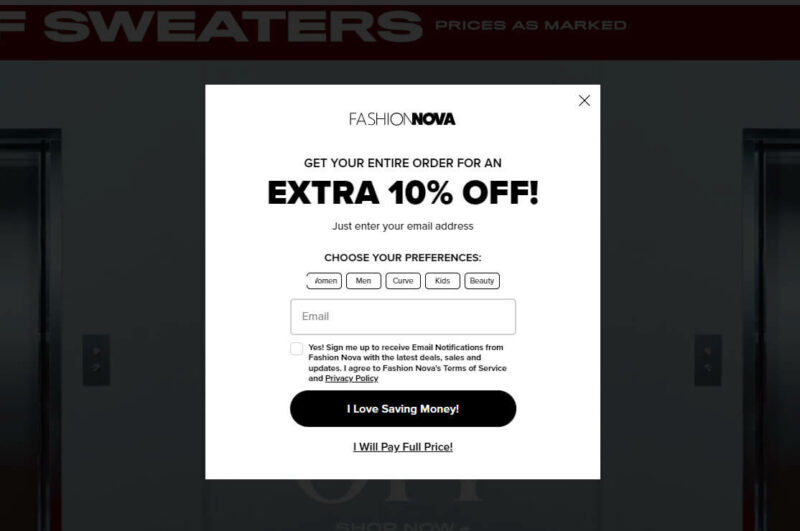 Fashion Nova shopify web examples