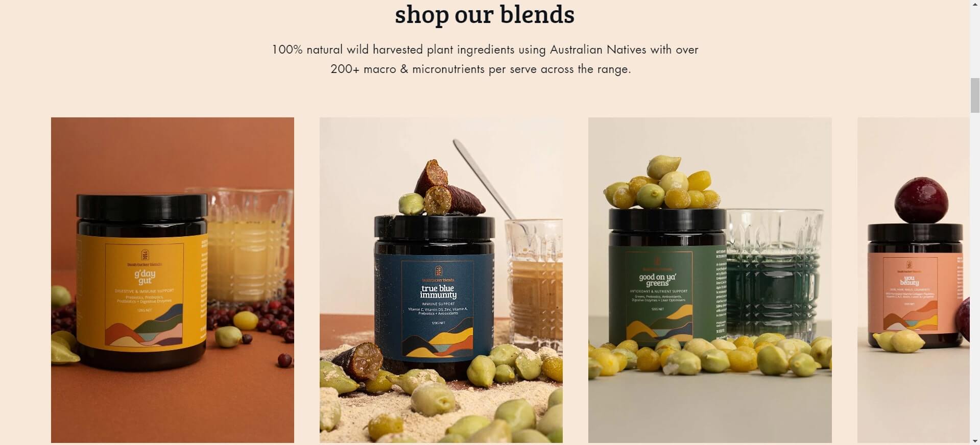 bush tucker blends Streamline Shopify theme