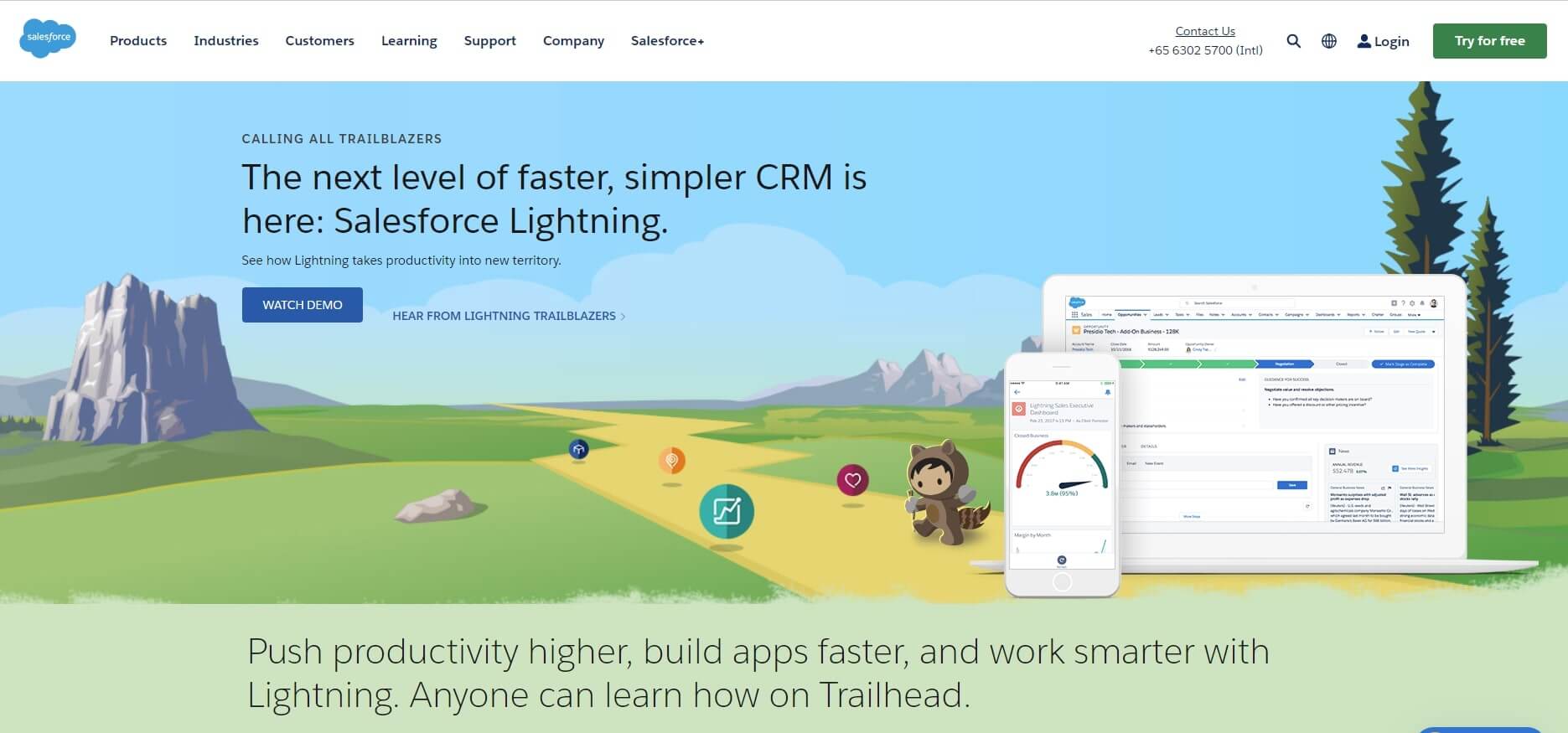 Salesforce Lightning low code platform