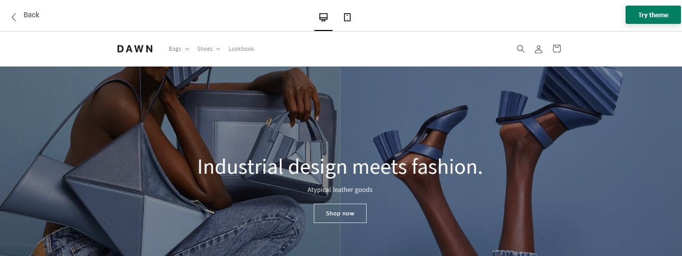 Dawn Shopify theme