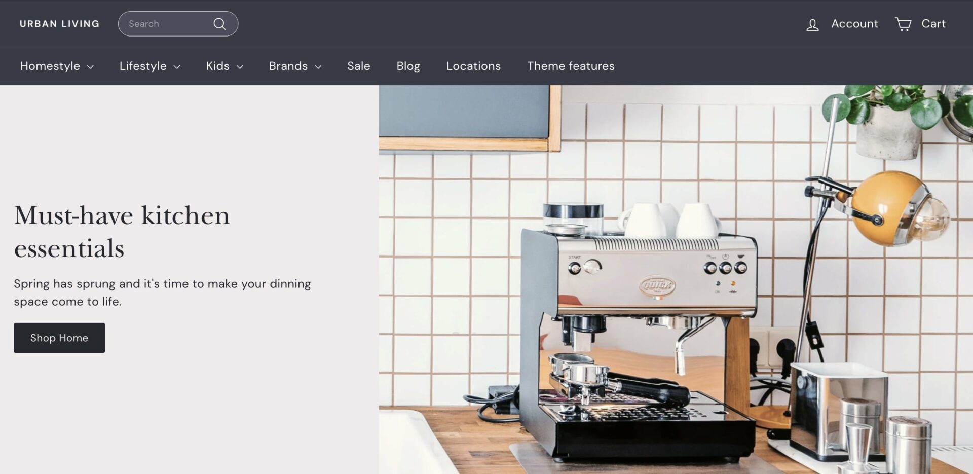 Classic style of Expanse Theme Shopify