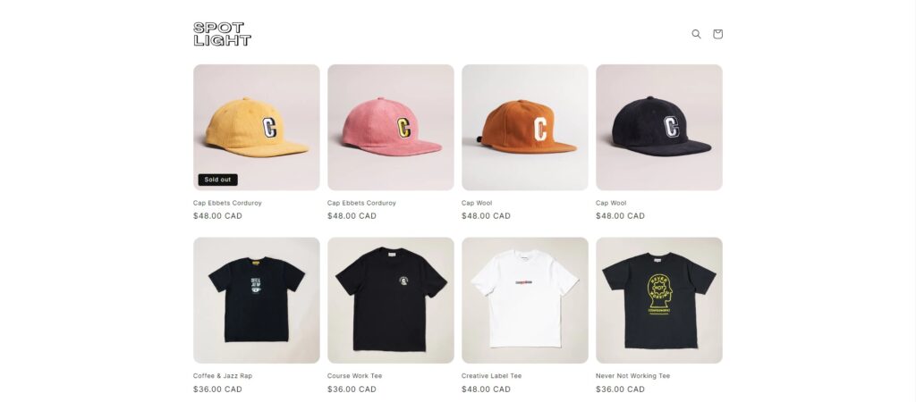 SPOTLIGHT BEST FREE THEMES FOR DROPSHIPPING