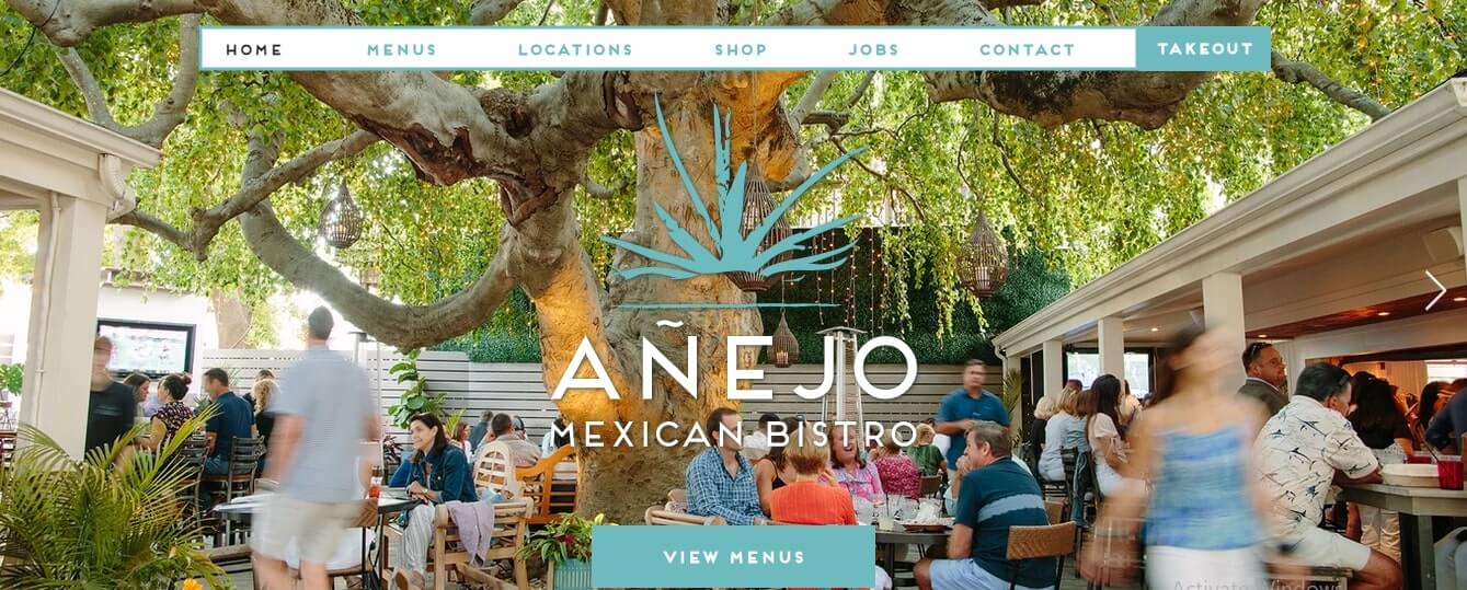Anejo Restaurant Website Designs