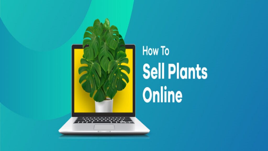How to Sell Plants Online