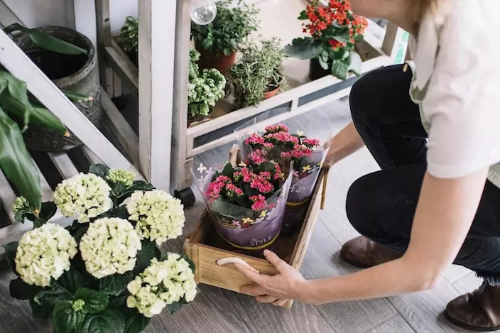 Flower-shop-names-5