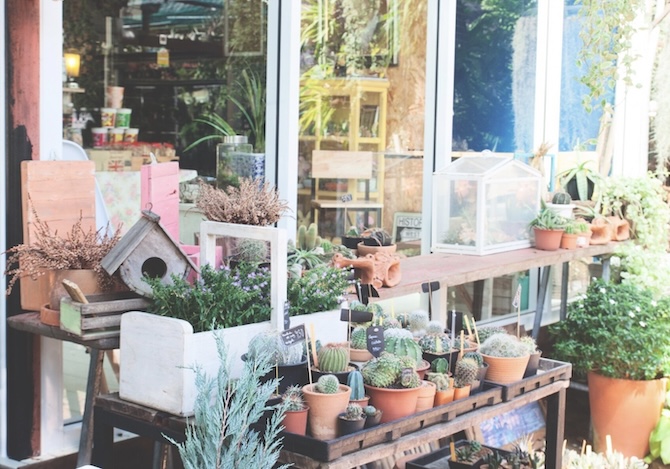 Flower-shop-names-8