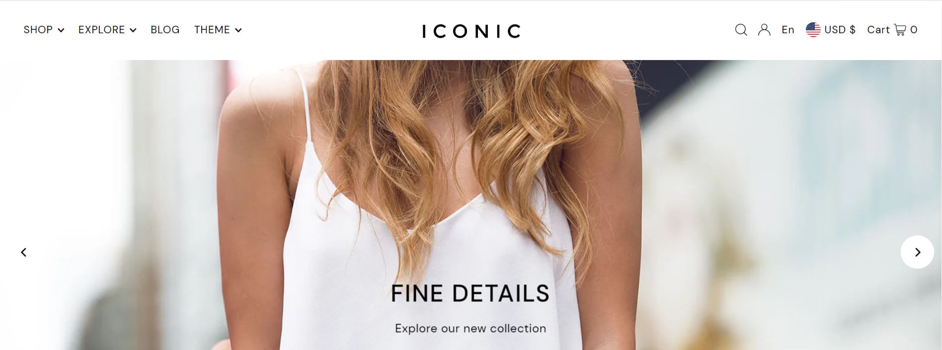 Icon-Shopify-Theme-dolce-layout