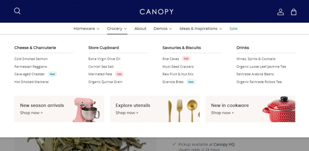 Canopy Theme Shopify