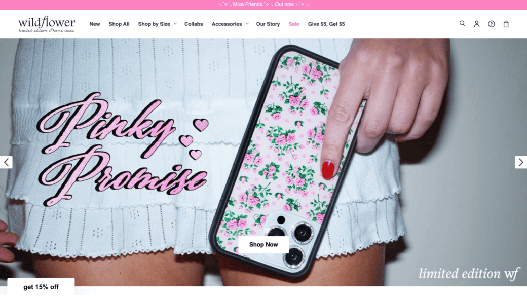 electronic shopify stores websites