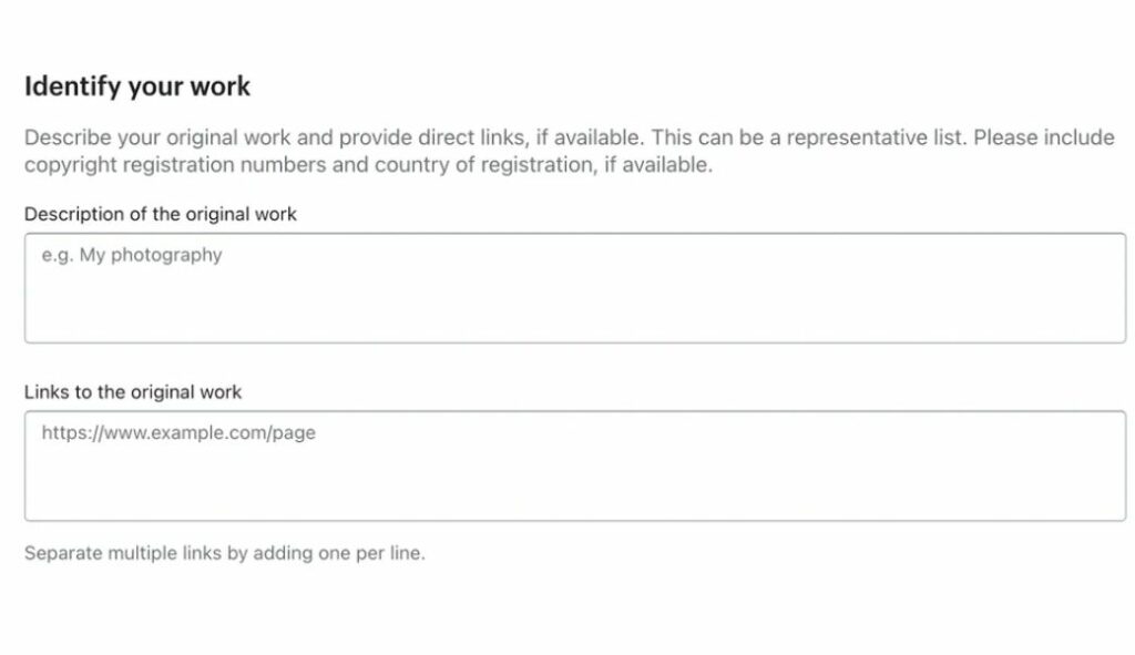 shopify dmca identity the original work