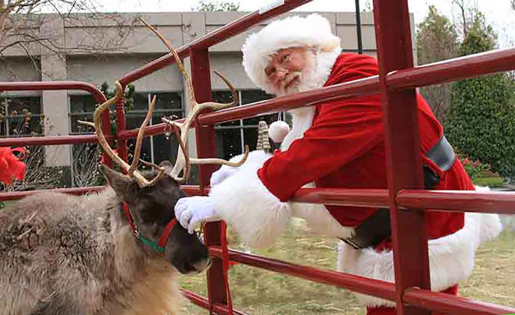 Santa or Reindeer Rental Service