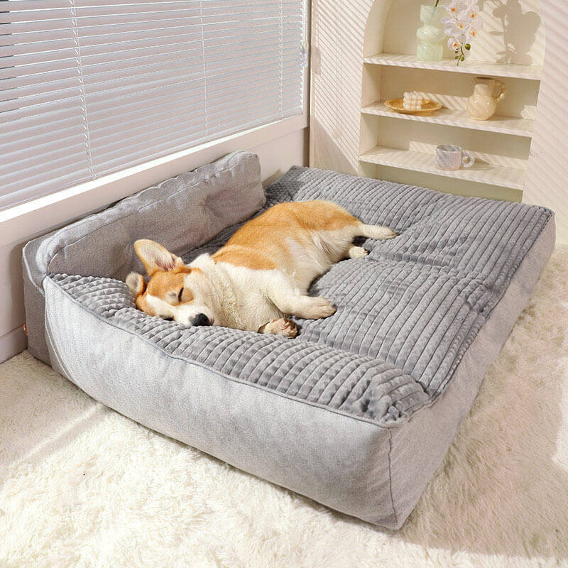 dog bed high demand products with low competition