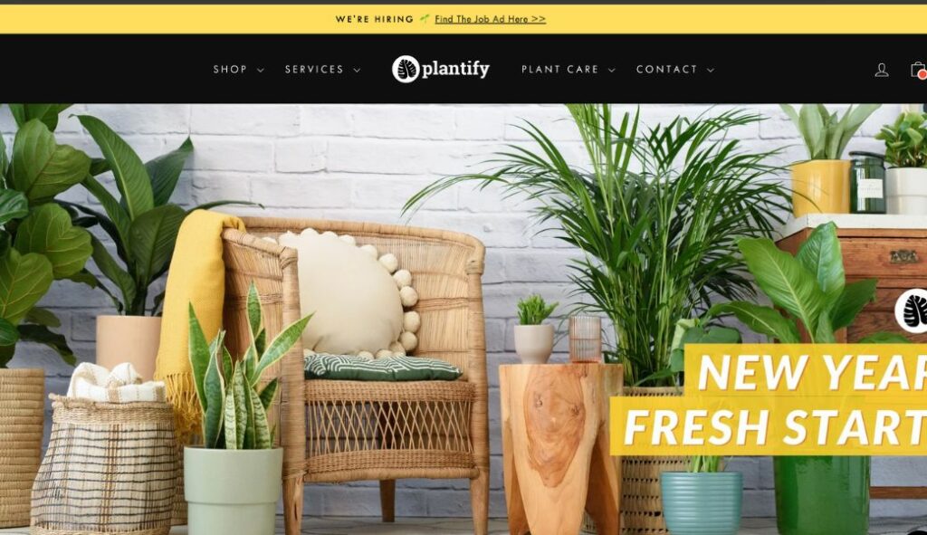 does shopify work in south africa - plantify