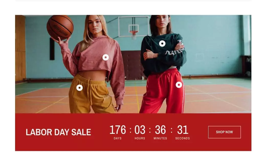 shopify reformation theme