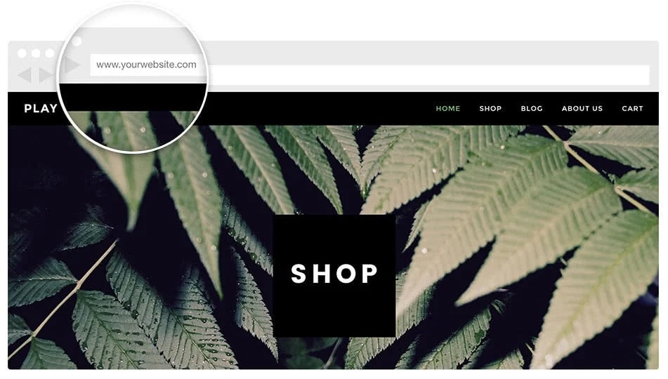 shopify domain cost 1