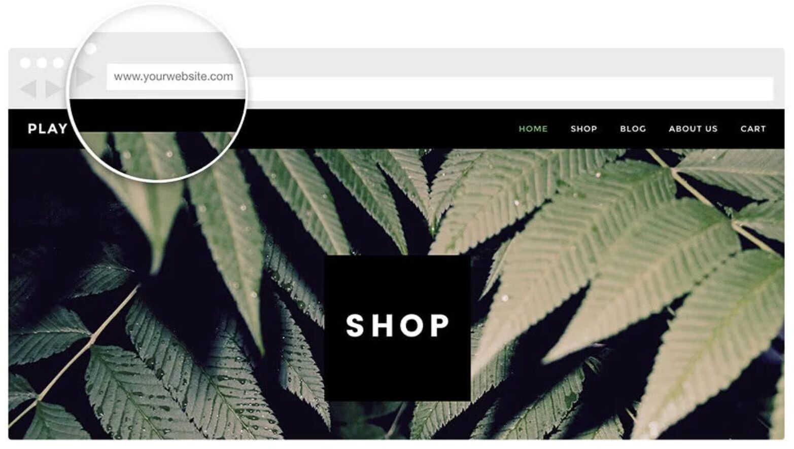 How Do I Find My Shopify URL 2