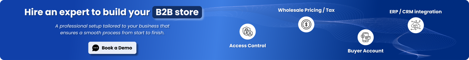 shopify-b2b-setup-banner-3