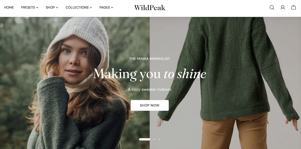 Sleek-Shopify-Theme-WildPeak-style