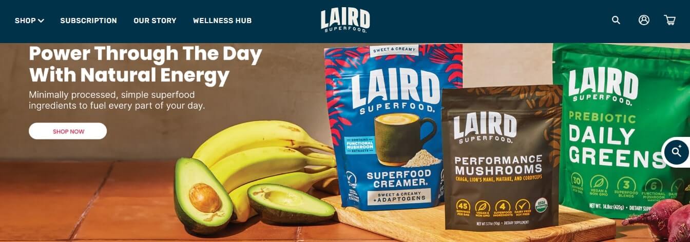 laird-hamilton-business-ideas