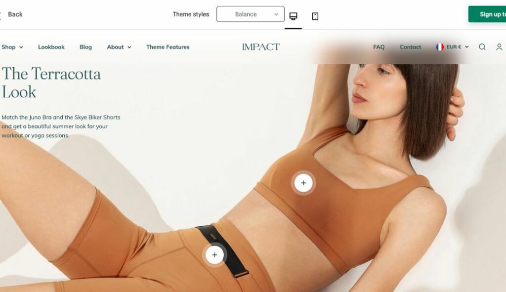 shopify b2b theme impact