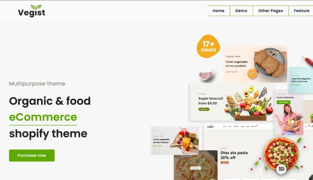 shopify b2b theme vegist