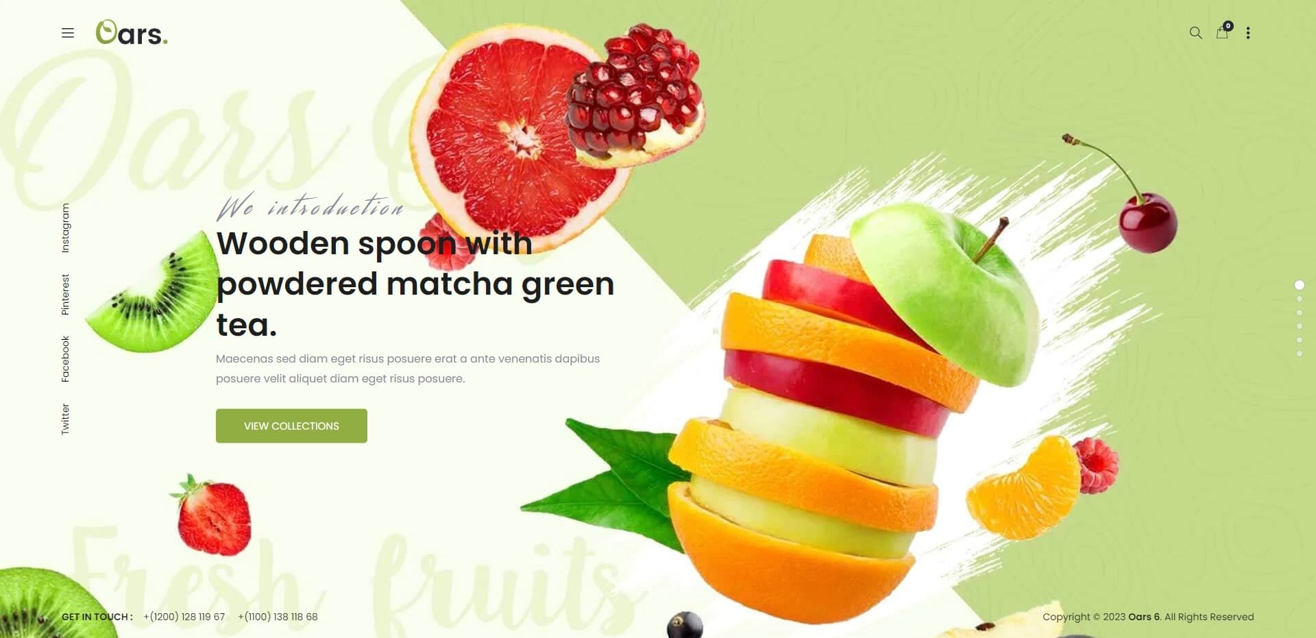 oars seo shopify theme