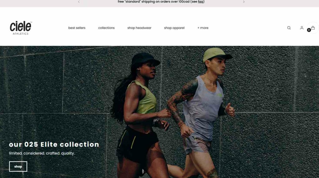 Stiletto Shopify Theme Store Example 2
