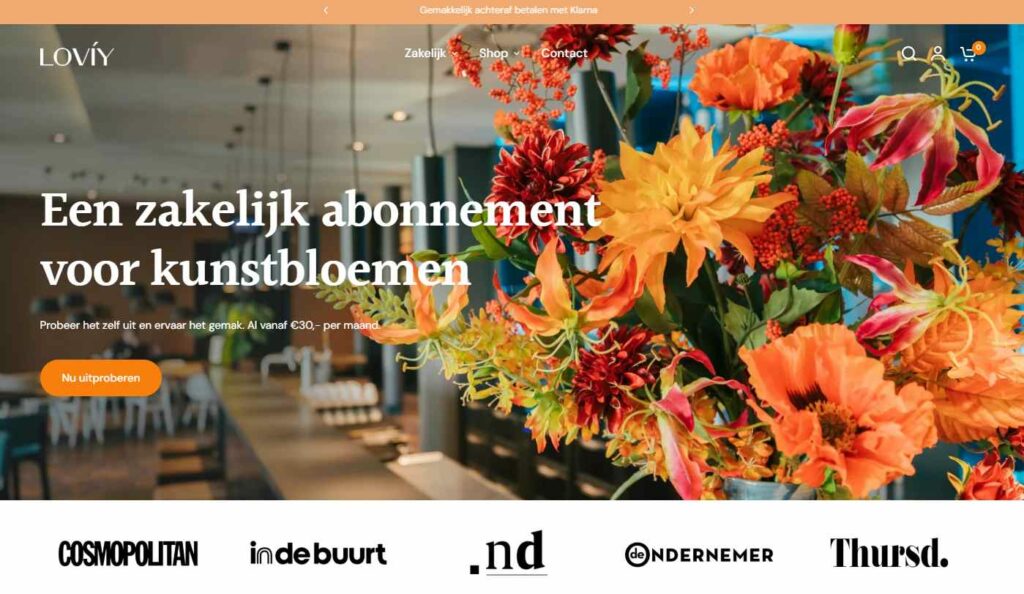 Shopify Vision Theme example in home decor niche