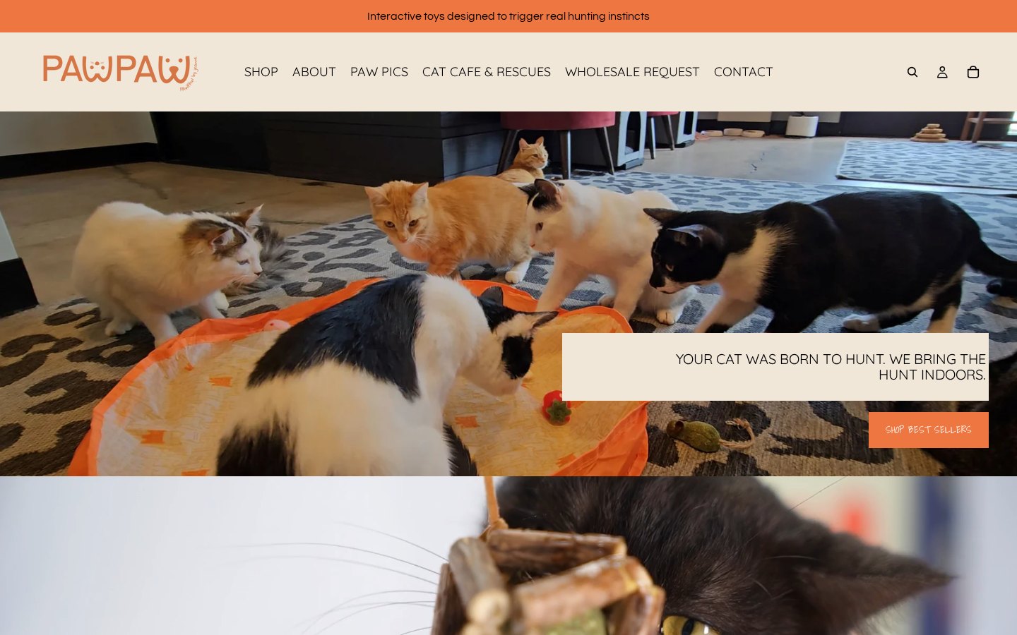 Paw Paw by Jeanne home page with a hero photo of cats playing and a menu that includes Wholesale Request