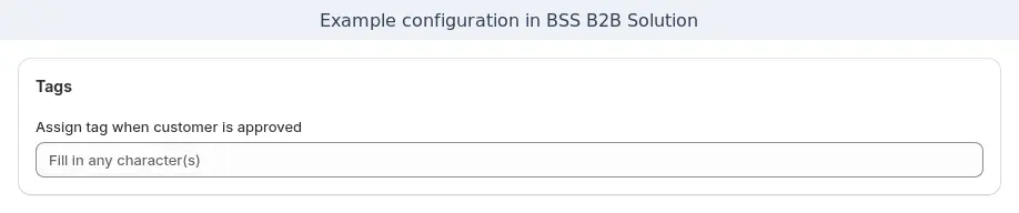 BSS B2B Solution registration form setting to assign a tag when a customer is approved