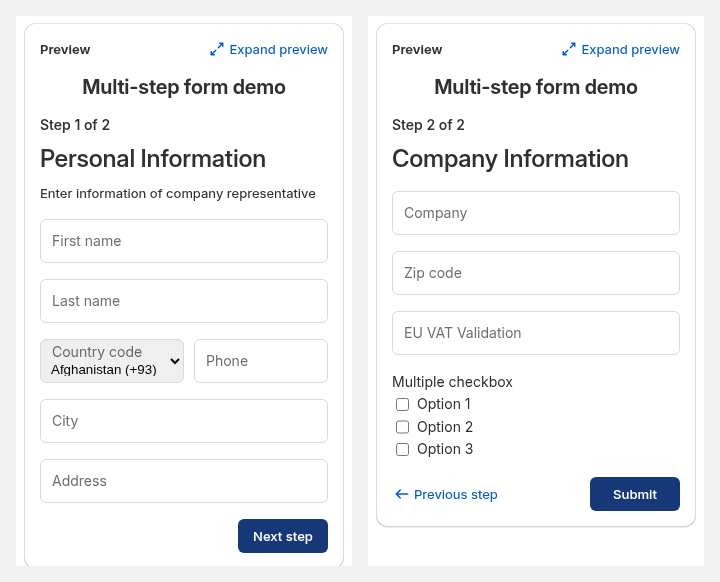 Two-step wholesale registration form preview with personal information on step one and company information on step two