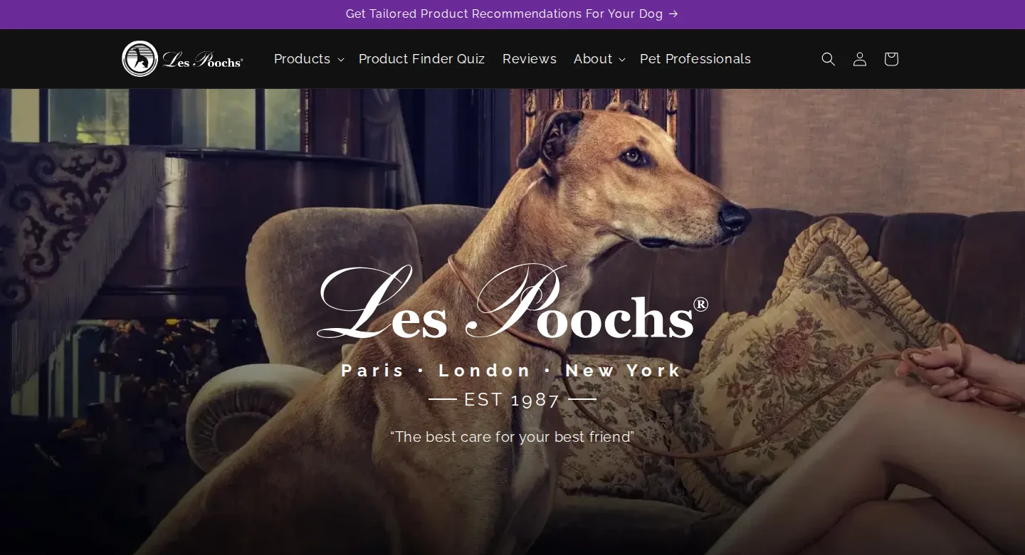 Les Poochs home page with a hero image of a greyhound and a Pet Professionals link in the main navigation