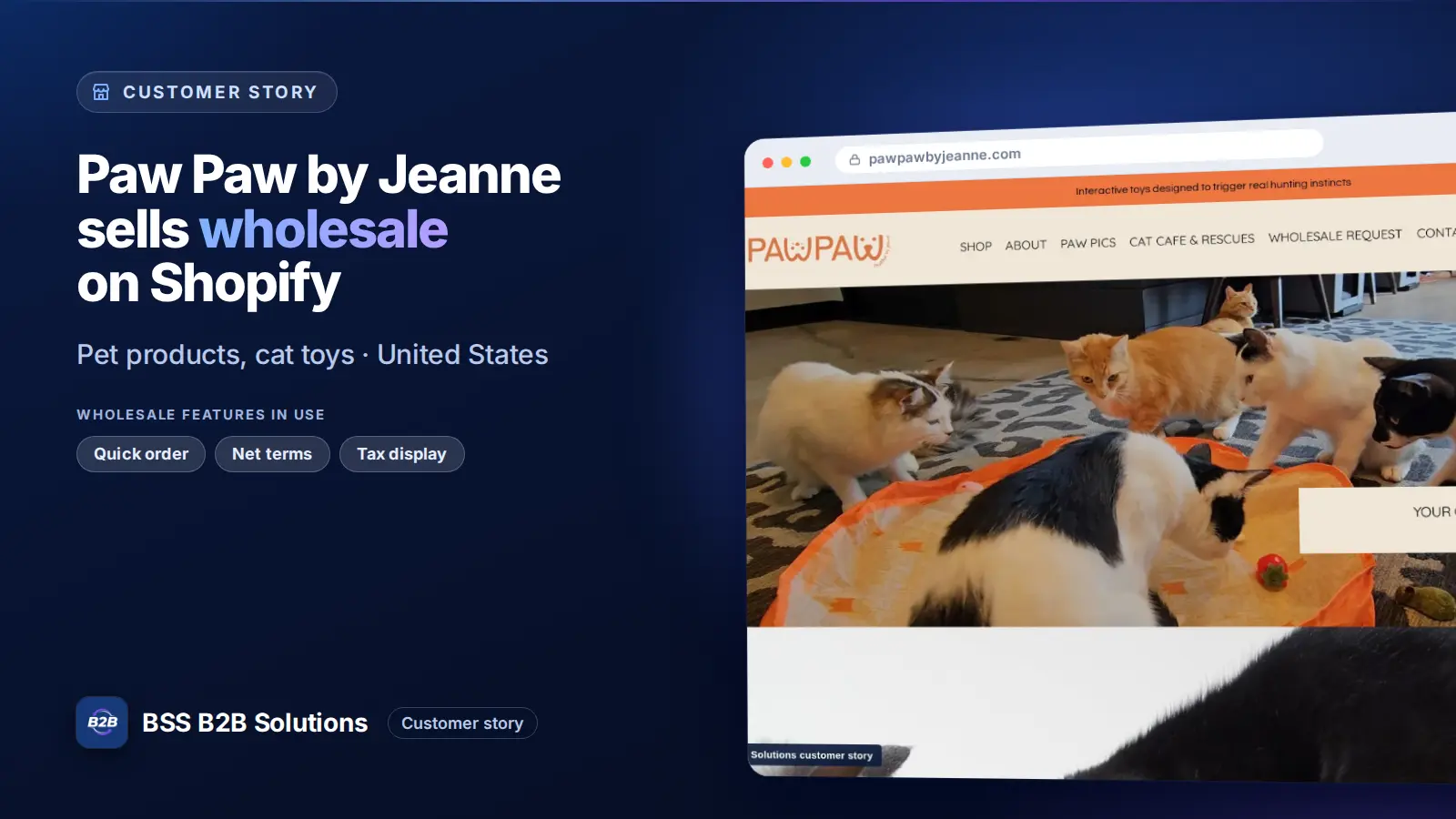 Browser window showing the merchant storefront, Paw Paw by Jeanne sells wholesale on Shopify. Cover for: Paw Paw by Jeanne: How a Cat Toy Brand Takes Wholesale Applications on Shopify